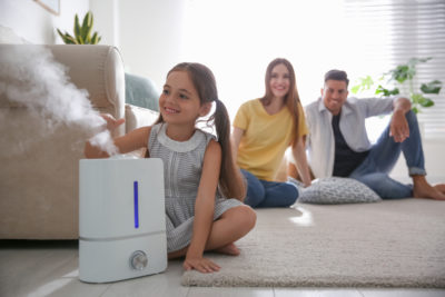 Whole-House Humidifiers vs. Portable Humidifiers: Pros vs. Cons
