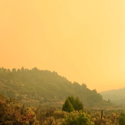 Are Air Purifiers Effective Against Smoke from Wildfires?